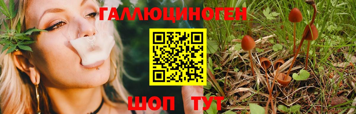Галлюциногенные грибы Psilocybine cubensis Похвистнево