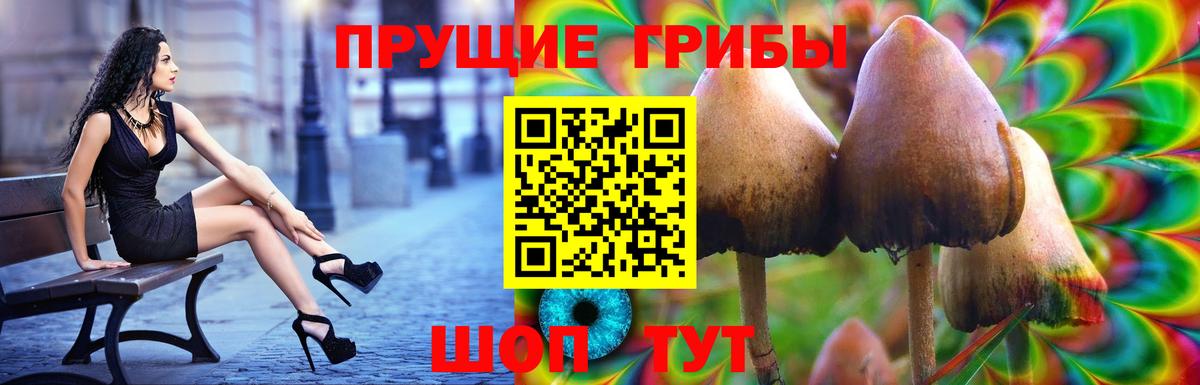 Похвистнево  Галлюциногенные грибы прущие грибы  Псилоцибиновые грибы Psilocybine cubensis  Вход с VPN 